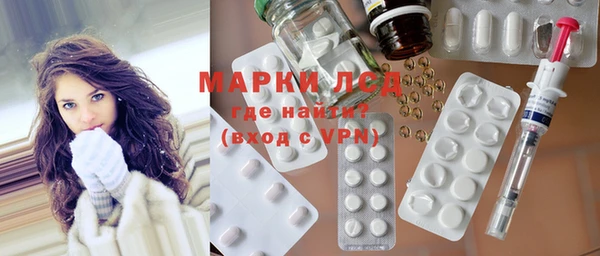 дмт Алзамай