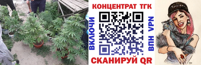 как найти закладки  МЕГА ссылка  ТГК концентрат  Кочубеевское 