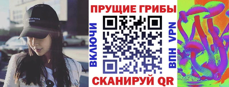 Псилоцибиновые грибы прущие грибы  Кочубеевское 